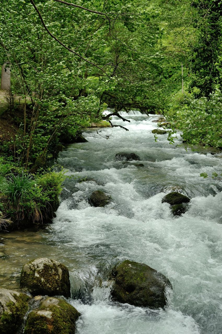 Отдых в Абхазии - природа, реки